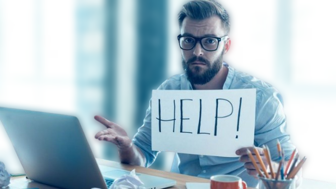 Factors to consider when choosing an employer as a developer